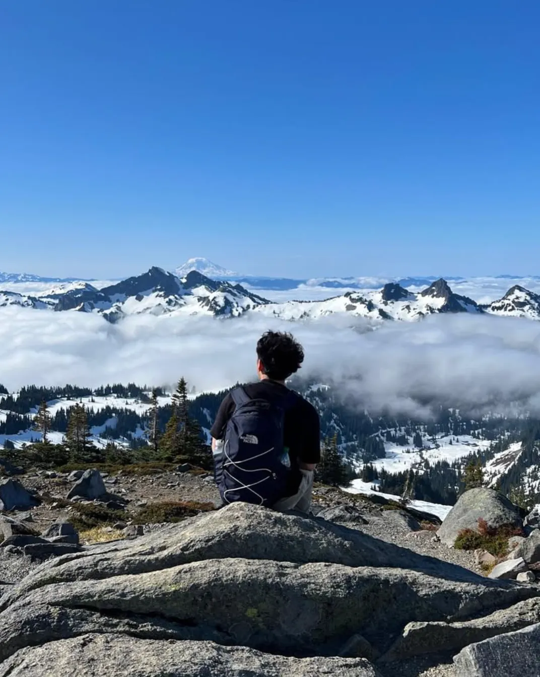 Benji sitting on a rock above the clouds on a hike at Mount Rainier